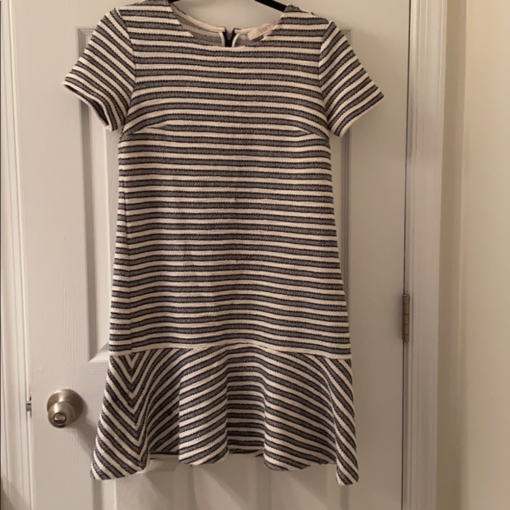 The loft: size 2 (small) peplum knitted dress
